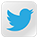 follow us on twitter